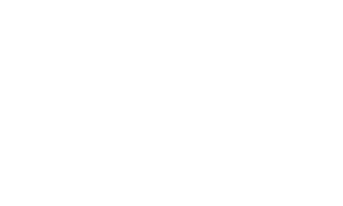 Un Día En La Vida